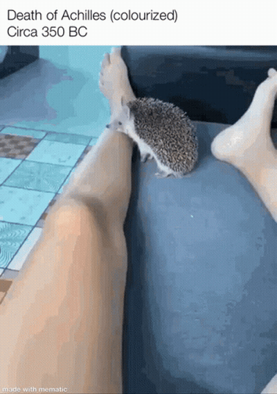 Hedgehog Sitting On Leg Death Of Achilles Colourized Circa 350 BC GIF