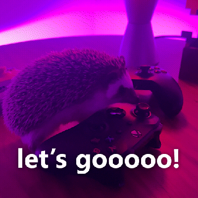 Hedgehog Sitting On Video Game Controller GIF
