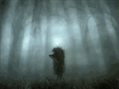 Hedgehog Standing In Foggy Forest GIF