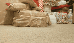 Hedgehog Walking Around GIF