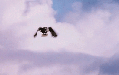Hedwig Delivering Mail At Sky GIF