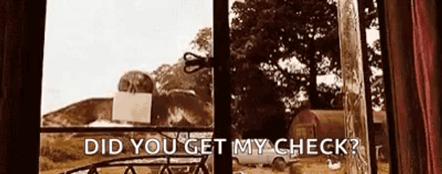Hedwig Did You Get My Check GIF
