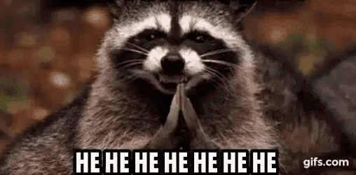 Hehe Raccoon GIF