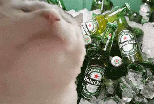 Heineken Bottles On Ice GIF