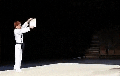 Helicopter Helicopter Karate Kick Meme GIF