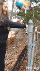 Helium Birthday Balloons Fence Gift GIF