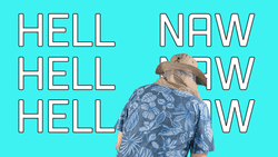 Hell To The Naw Dave And Mahoney GIF