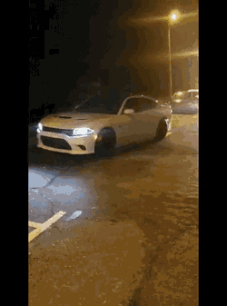 Hellcat Park GIF