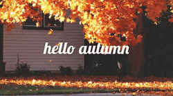  Hello  Autumn Falls Falling Leaves Aesthetic GIF