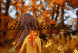 Hello Autumn Image Flashes