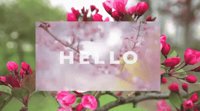 Hello Card GIF