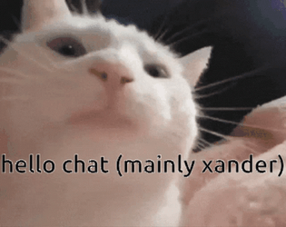 Hello Chat Mainly Xander Cat GIF