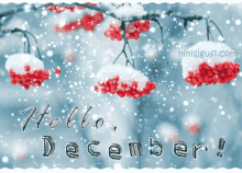 Hello December Blizzard Falling Background