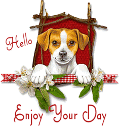 Hello Enjoy Your Day Cute Dog Blinking GIF