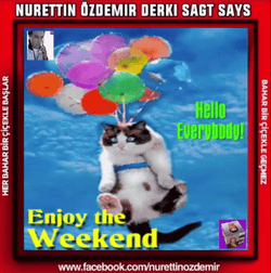 Hello Everybody Enjoy Your Weekend GIF