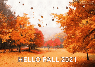 Hello Fall 2021 Autumn Leaves Falling GIF