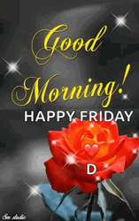 Hello Friday Orange Rose GIF