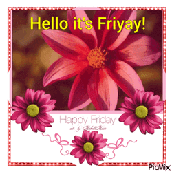 Hello Friday Pink Gerbera Flowers GIF
