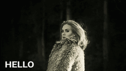 Hello From The Other Side Adele GIF