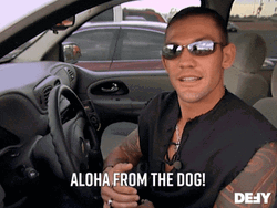 Hello From The Other Side From The Dog GIF