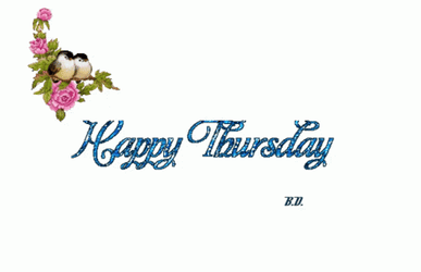 Hello Happy Thursday Couple Birds GIF
