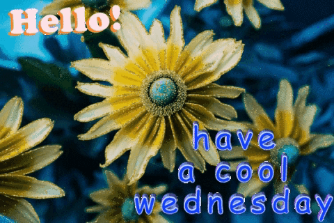 Hello Have A Cool Wednesday Greeting Card GIF