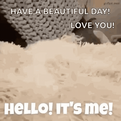 Hello Its GIF