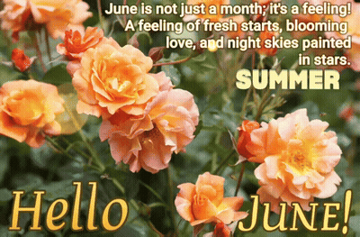 Hello June Card With Orange Flowers GIF