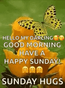 Hello My Darling Good Morning Have A Happy Sunday ! Sunday Hugs . GIF