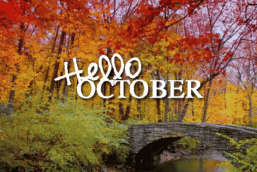 Hello October Autumn Image Compilation GIF