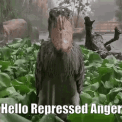 Hello Repressed Anger GIF