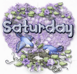 Hello Saturday Twinkling Birds Nest GIF
