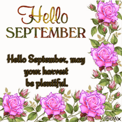 Hello September Card With Pink Roses GIF