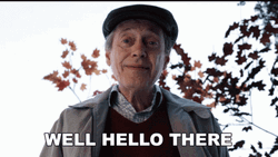 Hello There Steve Buscemi GIF
