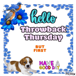 Hello Throwback Thursday Have A Good Day GIF