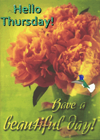 Hello Thursday Card With Flowers And Bird GIF