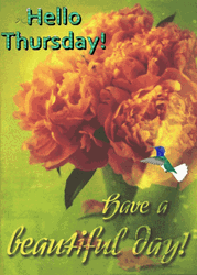 Hello Thursday Couple Of Flowers GIF