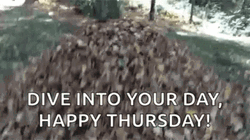 Hello Thursday Dive Into Your Day GIF