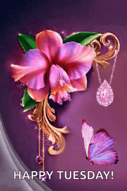 Hello Tuesday Beautiful Lilac Flower GIF