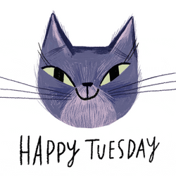 Hello Tuesday Cute Blinking Cat Animation GIF