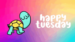 Hello Tuesday Cute Turtle Strolling GIF