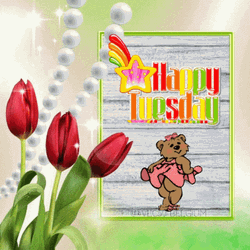 Hello Tuesday Dancing Cute Bear GIF