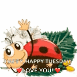 Hello Tuesday Lady Bug Waving GIF