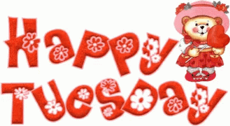 Hello Tuesday Retro Cat Design GIF