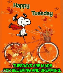 Hello Tuesday Snoopy Ride Bike GIF