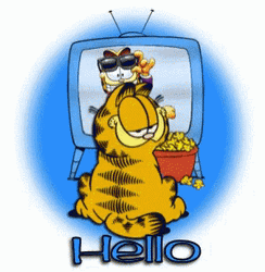 Hello Wednesday 498 GIF