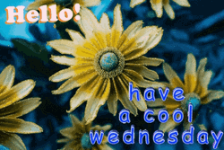 Hello Wednesday Cool Day GIF