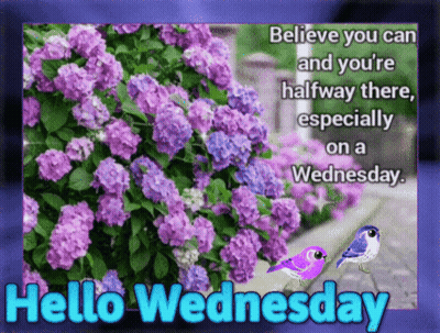 Hello Wednesday Greeting Card With Purple Flowers And Two Birds GIF