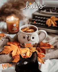 Hello Wednesday Peeking Black Cat GIF