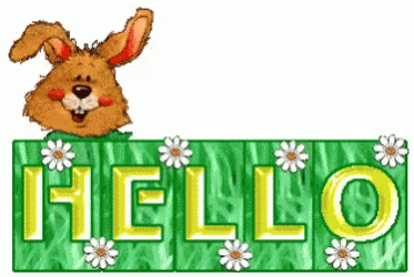 Hello Wednesday Peeking Brown Bunny GIF